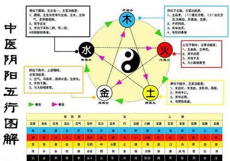 金生木 木生水|深度解析五行生克的关系